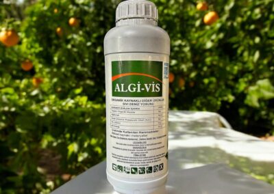 ALGİ-VİS