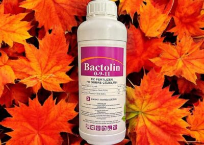 BACTOLİN 0-9-11