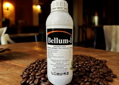 BELLUM-İ