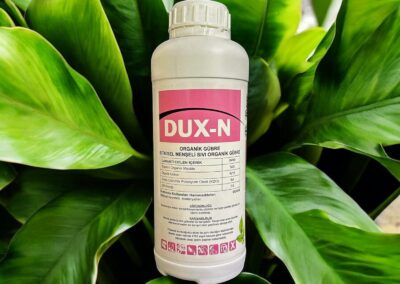 DUX-N