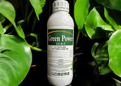 GREEN POWER