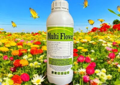 MULTIFLOWER
