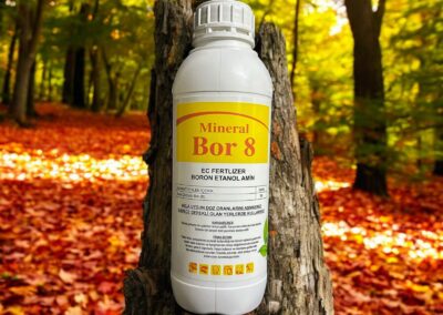 MİNERAL BOR 8