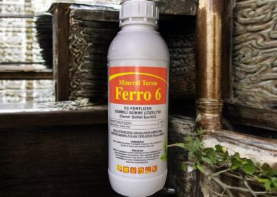 MİNERAL FERRO 6