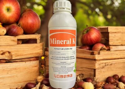 MİNERAL K25