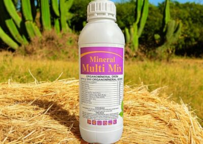 Mineral Multi-mix